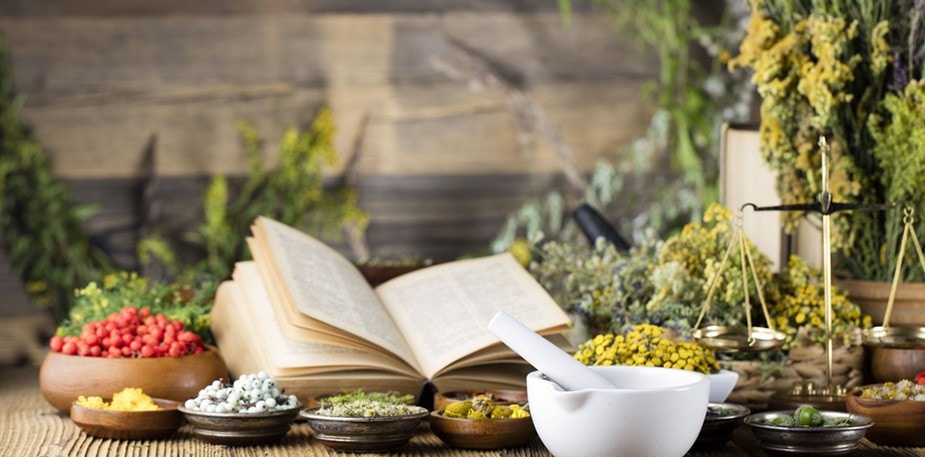 Pantry Tips: A Simple Guide to 6 Western Herbs